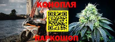 бошки Шелехов