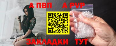 бошки Шелехов