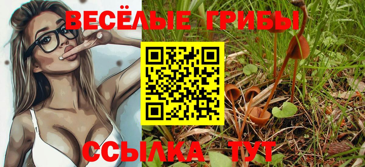Бугуруслан  Галлюциногенные грибы ЛСД  Псилоцибиновые грибы мицелий  Вход с VPN 
